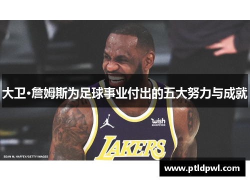 大卫·詹姆斯为足球事业付出的五大努力与成就