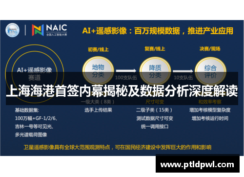 上海海港首签内幕揭秘及数据分析深度解读