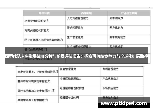 西甲球队未来发展战略分析与前景评估报告：探索可持续竞争力与全球化扩展路径